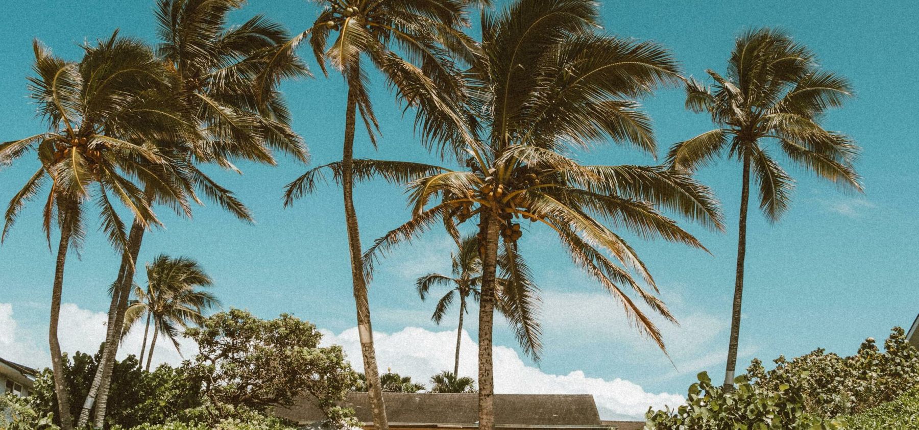 Experience Paradise: 5 Beach House Rentals in Puerto Rico 1 beach house rentals