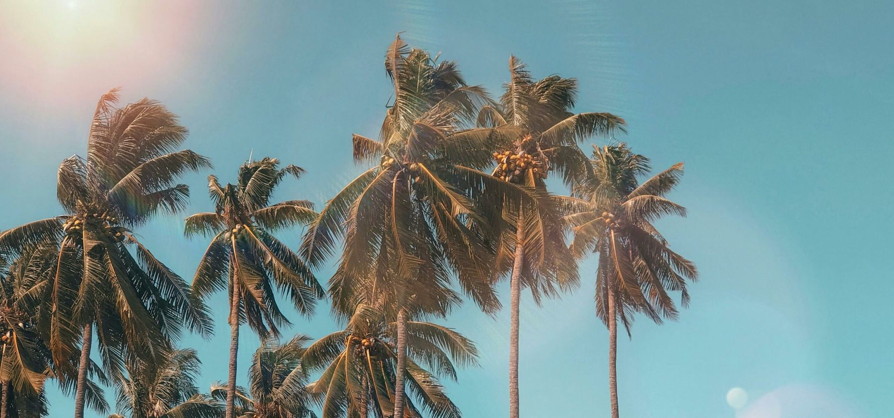 What is the cheapest month to fly to Puerto Rico? 1 cheapest month to book a flight to puerto rico