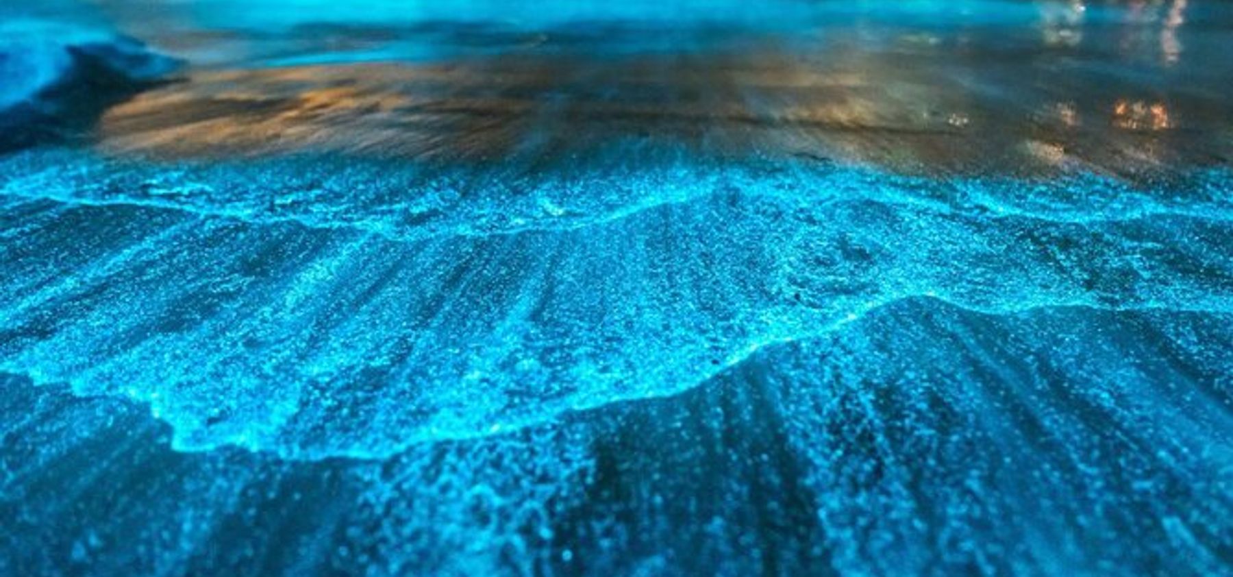 Puerto Rico Bioluminescent Bays: Your Complete Guide 1 bioluminiscent bay