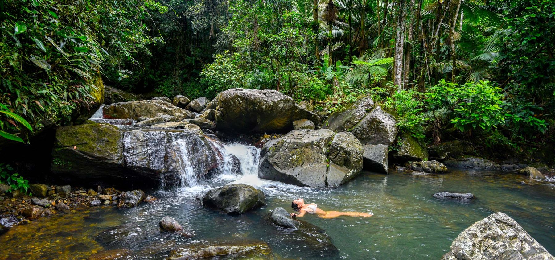 Hiking at El Yunque National Forest Puerto Rico: Your Complete Guide 1 hiking at el yunque