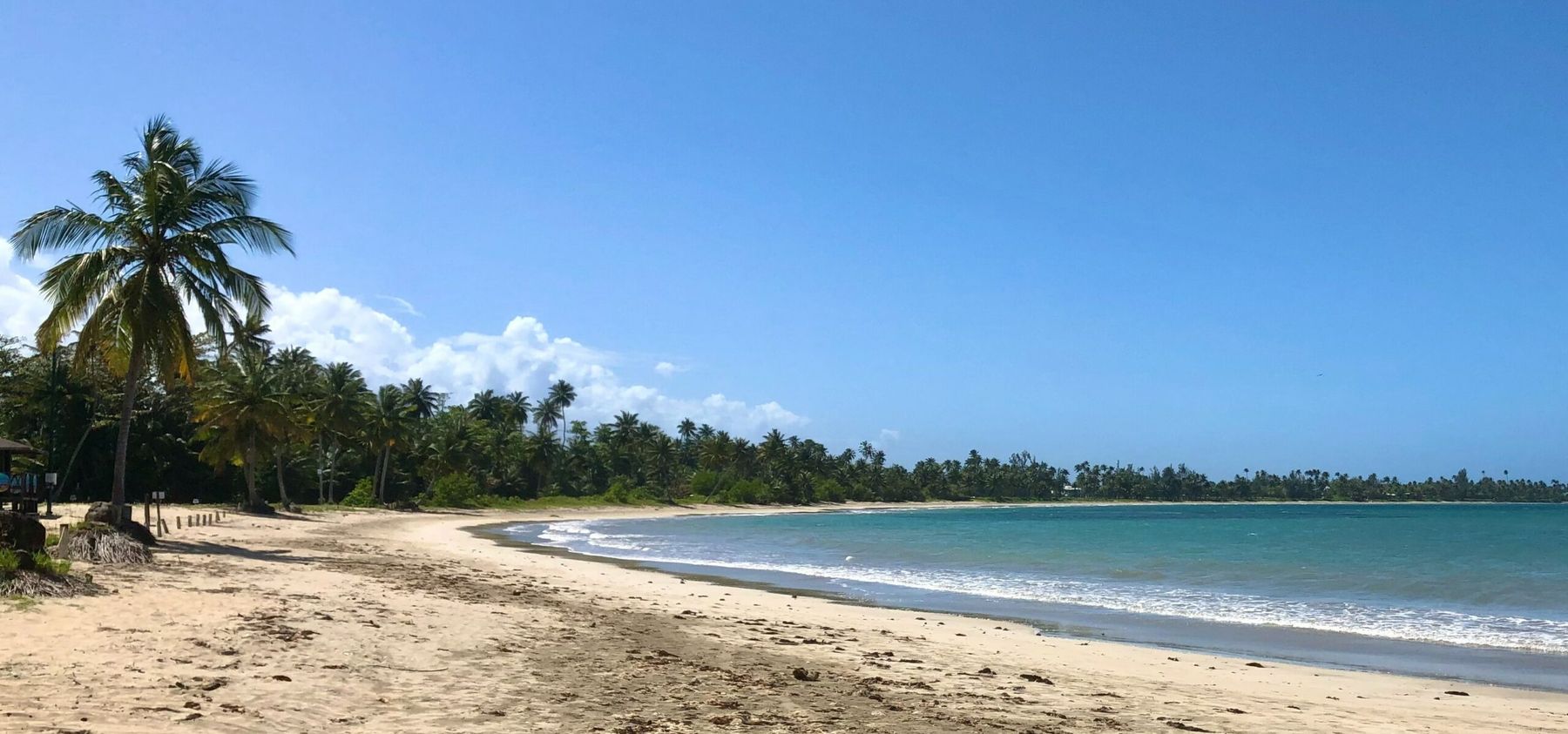 Best Beaches in San Juan, Puerto Rico: Unveiling the Caribbean's Best-Kept Secrets 1 Relaxing beach walk