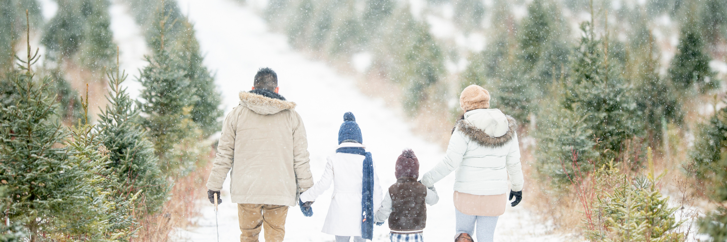 Colorado Rockies Family Adventures
