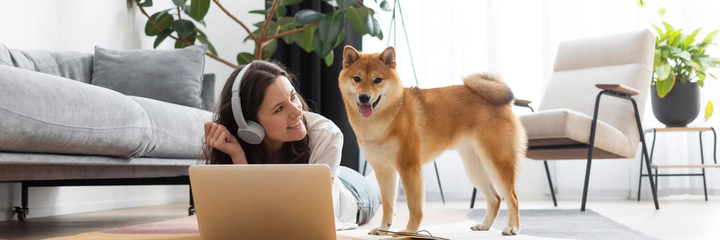 Best pet-friendly cabins near Denver, Colorado — Guest working remotely with her dog in a cozy pet-friendly rental living room