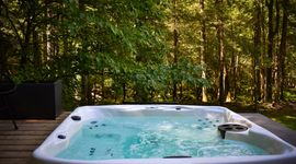Mossybrook Hideout: Dog Friendly Oasis in High Falls w/ Hot Tub Main Image