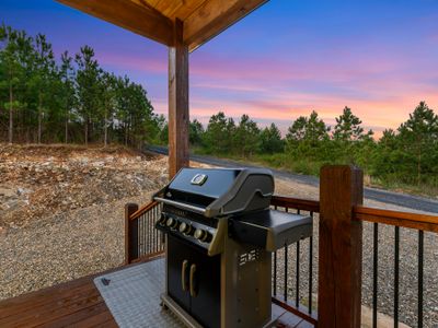 The gas grill, propane provided.