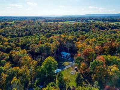 Forest Fir - Bearsville Soap Company