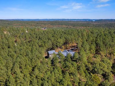 Surrounded by towering pines!