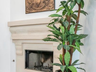 Fireplace and Decor