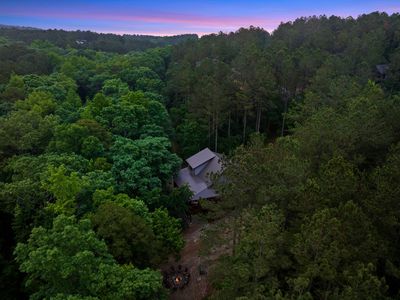 Towering trees surround the cabin.