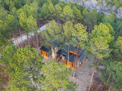 Nestled amongst towering pines!