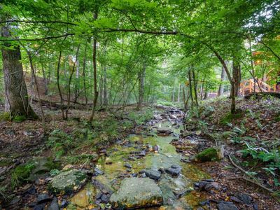 Another look at the creek on the property.