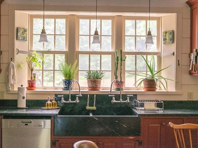 Kitchen view of back yard