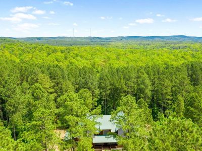Beautiful pines surround this lodge.