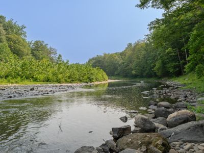 Down a private hiking trail lies Luna Cove's Creek, ready for your enjoyment.