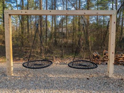 2 swings in the back yard!