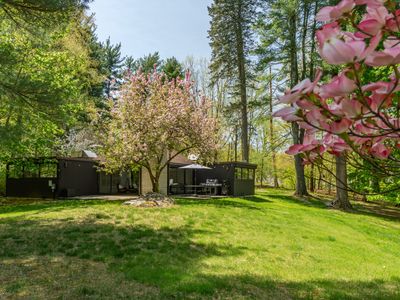 A large and lovely space, surrounded by trees and open sky.