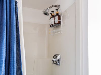The shower in the guest house bath.