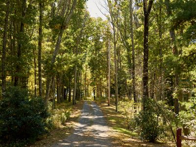 This long, private driveway is a stunning entry for your peaceful escape.