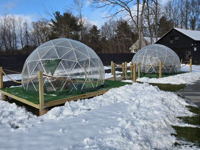 These igloos have a greenhouse affect, allowing you and your group to enjoy time outside, even with snow on the ground.