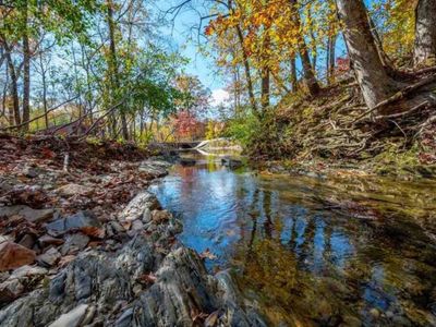 The flowing creek on the property.