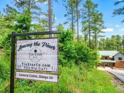 Among the Pines is waiting for you!