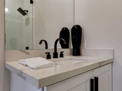 Custom cabinets and carefully curated quartz counters. (Bathroom 1.5/3.5)