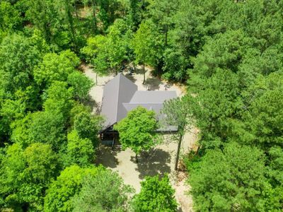 Nestled amongst tall pines!