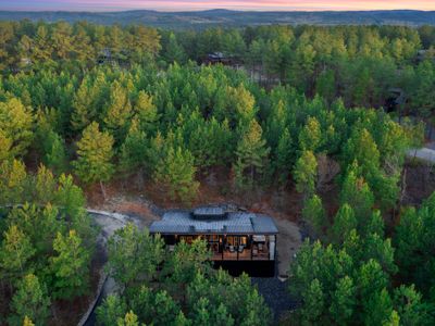 Nestled amongst towering pines.