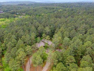 Towering pines surround this lodge.