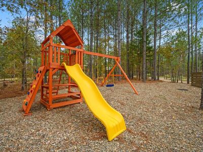 Playscape in the back yard!