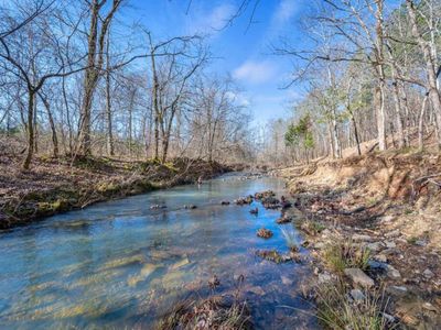 Onsite Creek views! Don't forget your fishing poles!