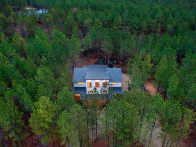 A birds eye view of Bourbon Basin and the towering pines.