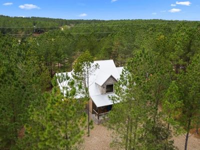 Surrounded by towering pines!
