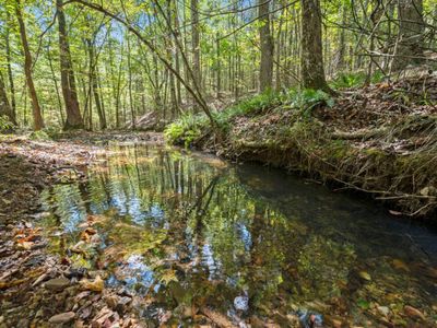 Creek on the property!