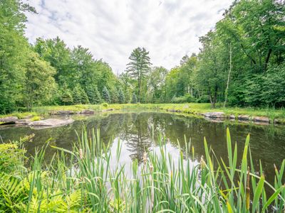 Enjoy your own private pond, an oasis away from the world.
