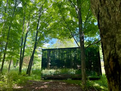 Escape into nature at The Heron Guest House, a stunning glass retreat surrounded by serene forest views.