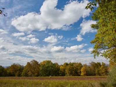 Meadows and mountains on display as you walk down this quiet country road.