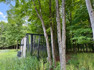 The glass cabin all but vanishes into the surrounding forest.