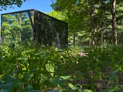 An architectural marvel: the stunning mirrored exterior completely blends into the peaceful Catskills forest.