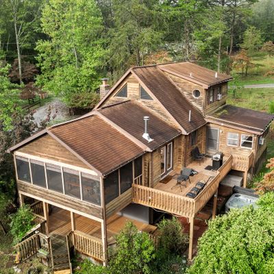 Mountain Maple