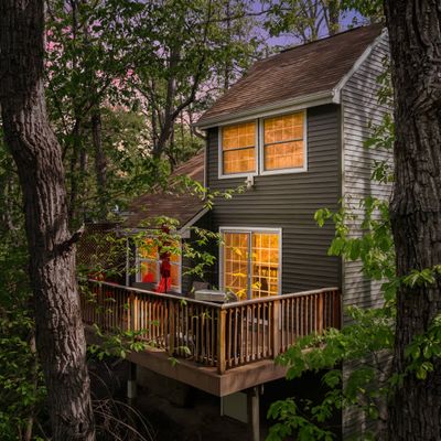 Garden Hollow