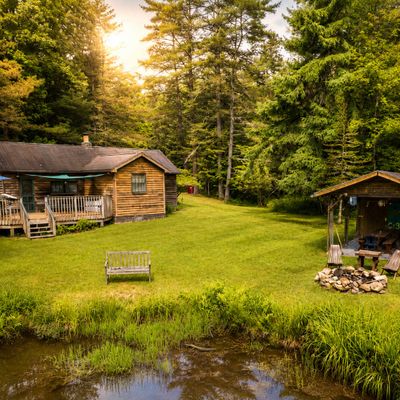 Pine Swamp Cabin