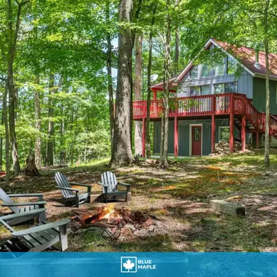 Black Bear Cabin