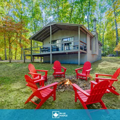 Blue Owl Retreat