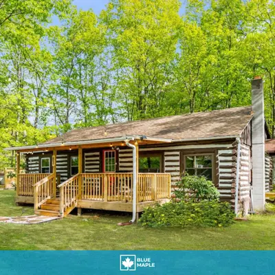 Heartwood Hollow