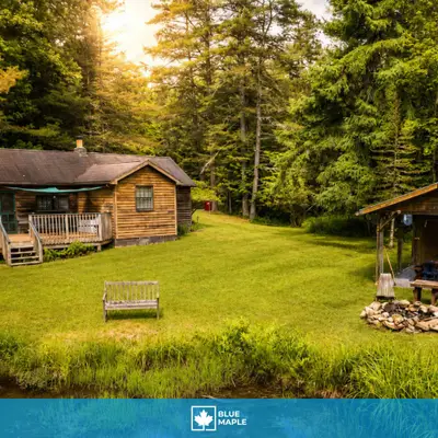 Pine Swamp Cabin