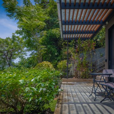 Private terrace pathway surrounded by lush tropical plants.