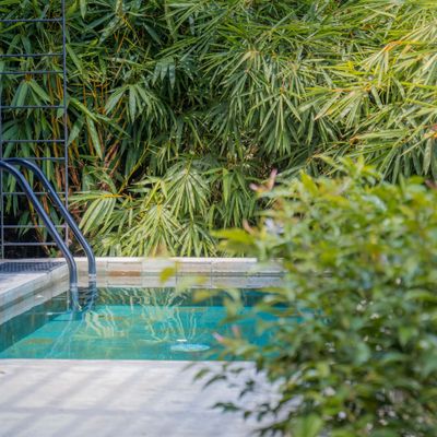 A refreshing pool retreat surrounded by lush greenery and privacy.