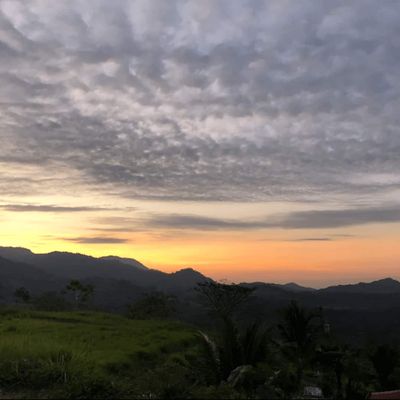 Breathtaking sunsets, painting the sky with vibrant hues.