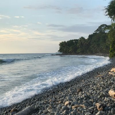 Marino Ballena National Park, Piñuelas Beach ( Entrance fee applies per person as is inside the National Park) Tickets can be purchased at the entrance of the beach ( Check National Park and  tie schedules before purchasing tickets)